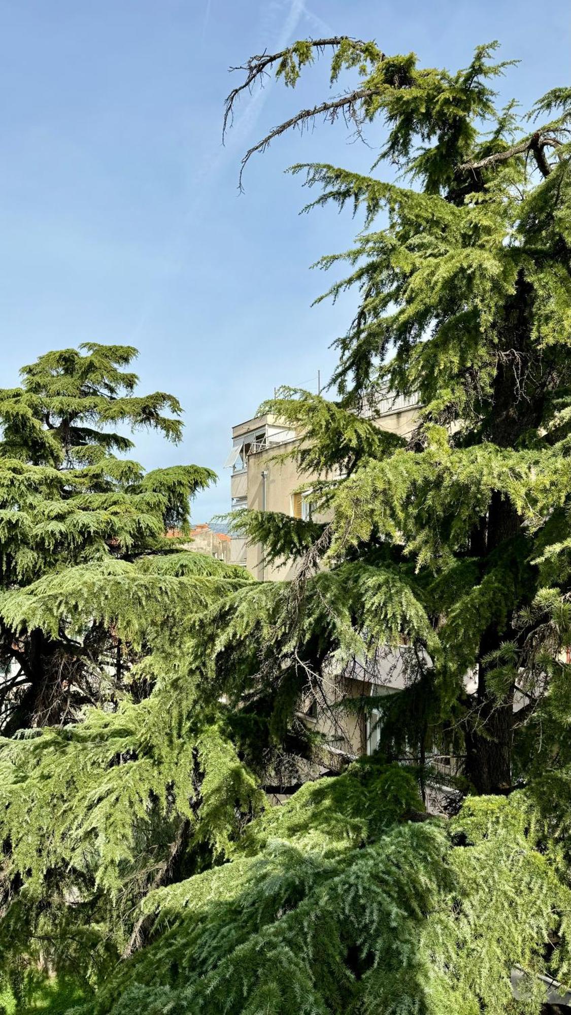 Jardin Rooms Сплит Екстериор снимка